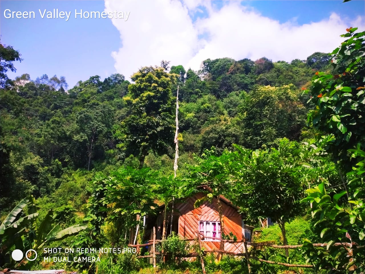 Green valley Homestay-Gallary